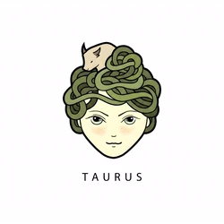 BBTaurus047